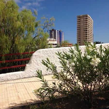 Vacaciones En Tenerife Sur * 阿德耶