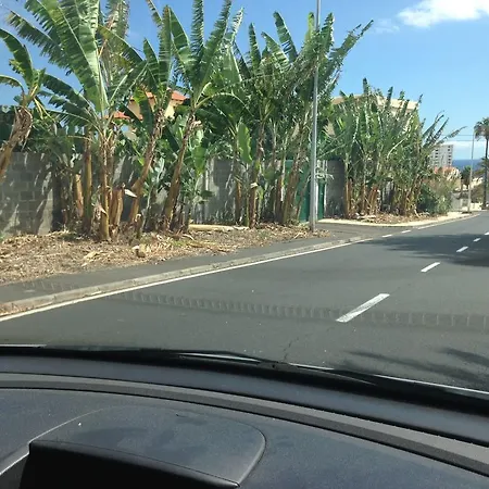 Vacaciones En Tenerife Sur